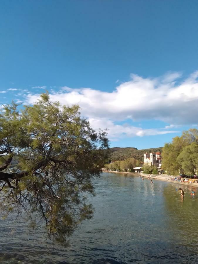 Sole Mio Διαμέρισμα Μηλιά Εξωτερικό φωτογραφία