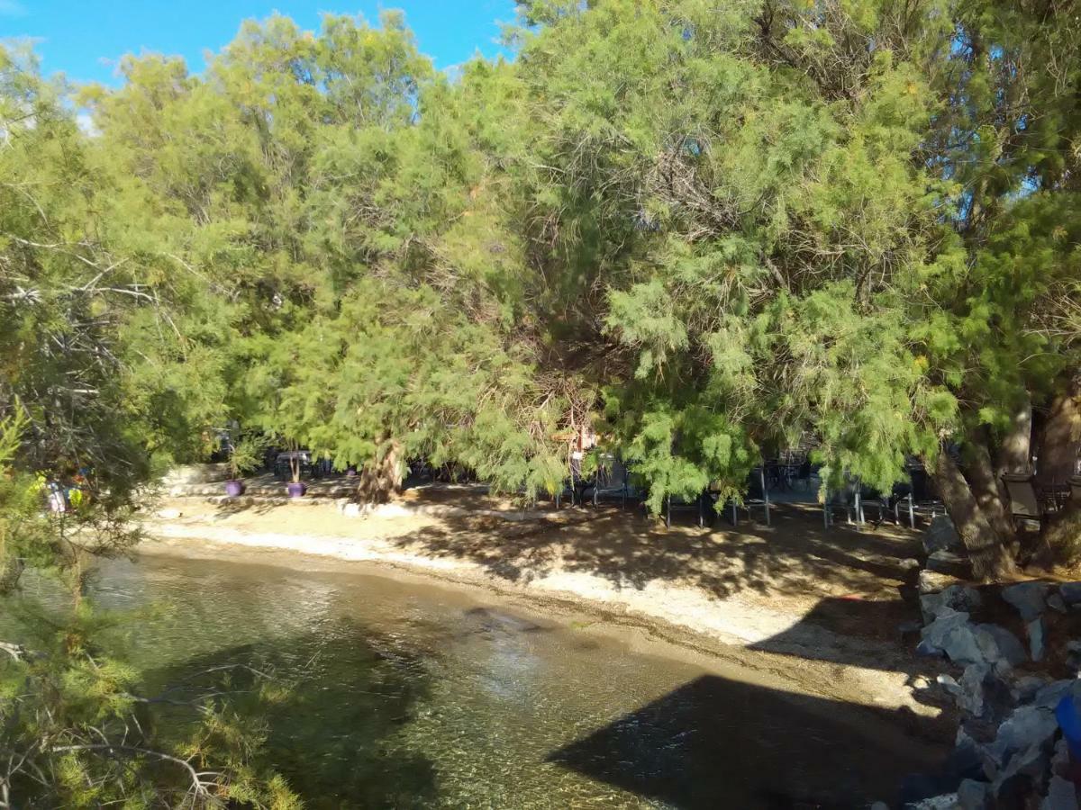 Sole Mio Διαμέρισμα Μηλιά Εξωτερικό φωτογραφία